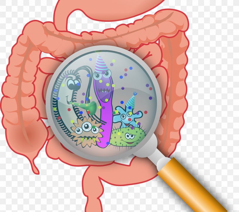Diarrhea Inflammatory Bowel Disease Gastrointestinal Tract Small Intestinal Bacterial Overgrowth, PNG, 1483x1314px, Watercolor, Cartoon, Flower, Frame, Heart Download Free