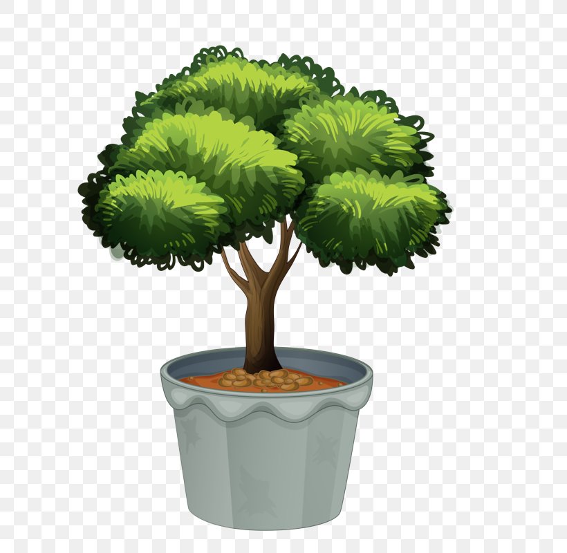 Flowerpot Tree Plant Green Houseplant, PNG, 597x800px, Flowerpot, Flower, Grass, Green, Houseplant Download Free