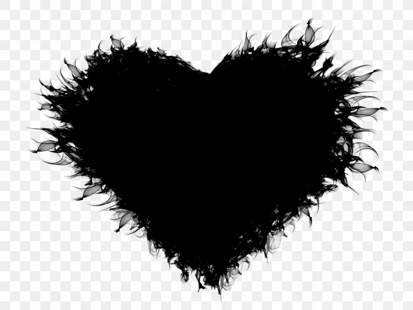 Font Fur Heart M-095 Black M, PNG, 1500x1130px, Fur, Black, Black Hair, Black M, Eye Download Free