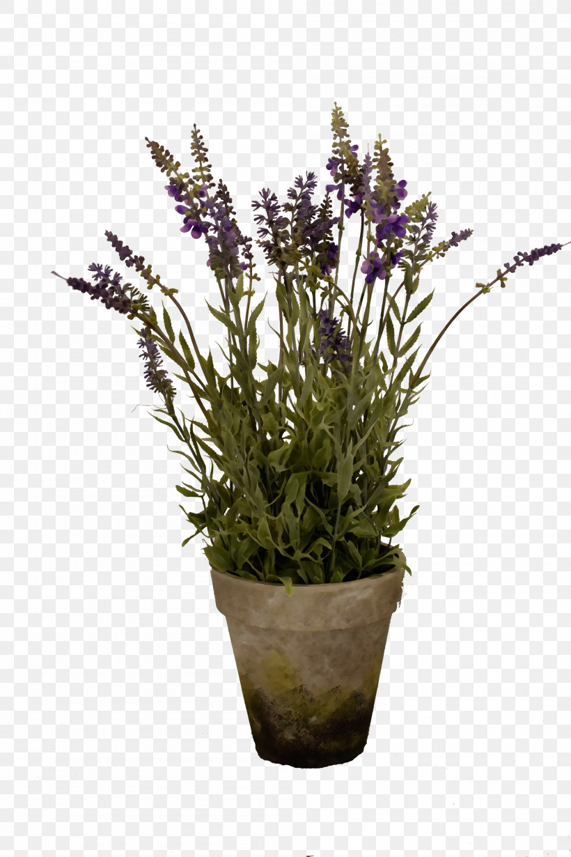 Lavender, PNG, 2000x3000px, Watercolor, English Lavender, Flowerpot, French Lavender, Grasses Download Free