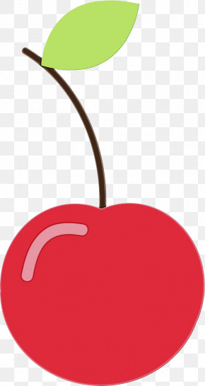 Plants Meter Fruit Biology Science PNG