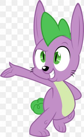 Kitten - Whiskers Kitten Chinchilla Rabbit Cat PNG