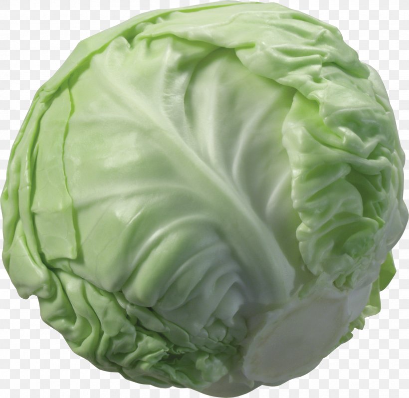 Cabbage Cauliflower Broccoli Vegetable, PNG, 2477x2411px, Cabbage, Brassica Oleracea, Broccoli, Cauliflower, Collard Greens Download Free