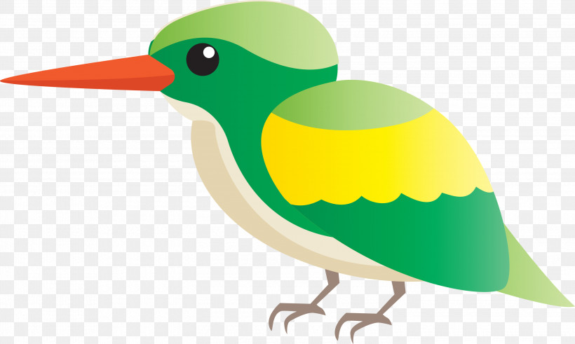 Ducks Beak Green Swans Grey Geese, PNG, 3000x1800px, Bird Cartoon, Beak, Cute Bird, Duck, Ducks Download Free