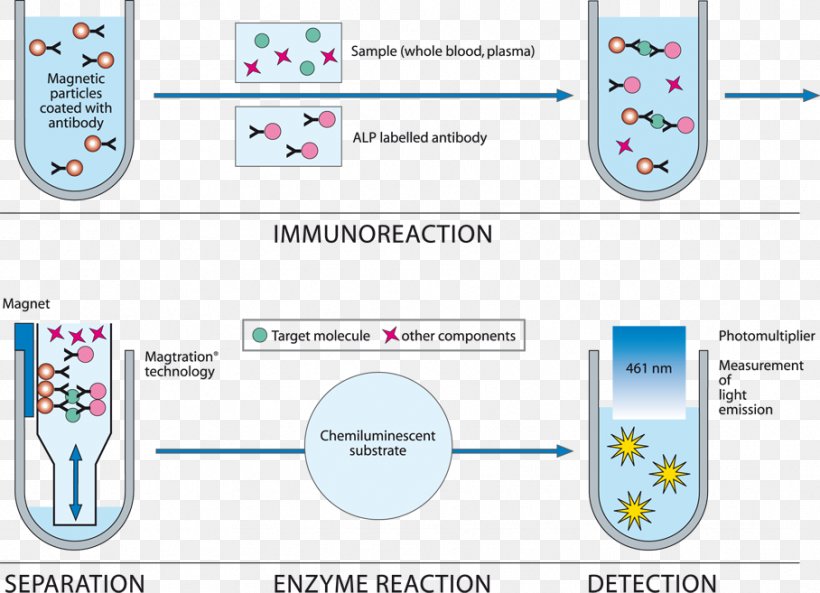 Electrochemiluminescence Light Immunoassay, PNG, 908x657px, Light, Analyte, Area, Assay, Brand Download Free