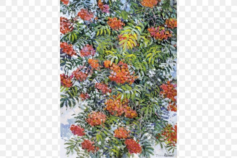 Flower Tree Shrub, PNG, 900x600px, Flower, Flora, Plant, Shrub, Tree Download Free