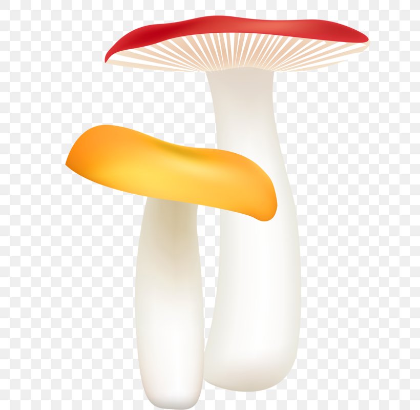 Mushroom Drawing Euclidean Vector, PNG, 637x800px, Mushroom, Dots Per Inch, Drawing, Fungus, Image Resolution Download Free