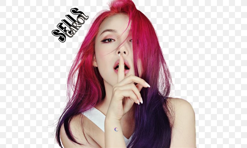 Ulzzang Pony South Korea Make-up Artist, PNG, 508x493px, Ulzzang, Beauty, Black Hair, Blog, Brown Hair Download Free