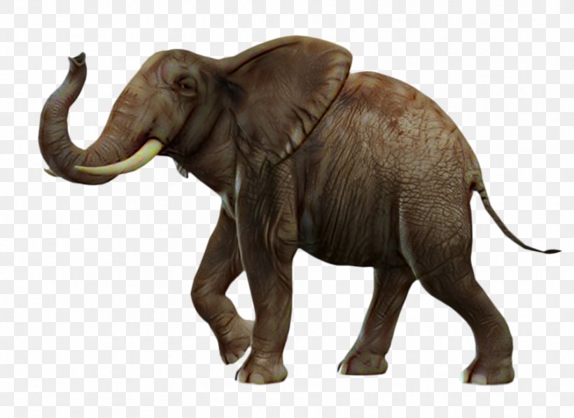African Bush Elephant Asian Elephant African Forest Elephant Clip Art, PNG, 899x655px, African Bush Elephant, African Elephant, African Forest Elephant, Animal Figure, Art Download Free