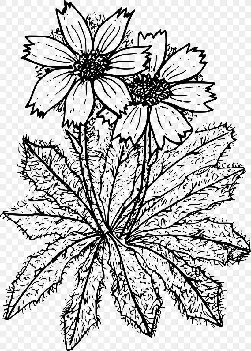 Coloring Book Drawing Clip Art, PNG, 1716x2400px, Coloring Book, Artwork, Black And White, Chrysanths, Color Download Free