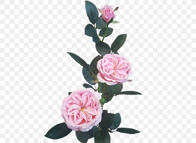 Cut Flowers Artificial Flower Garden Roses Floral Design, PNG, 800x600px, Flower, Artificial Flower, Centifolia Roses, Cut Flowers, David Ch Austin Download Free