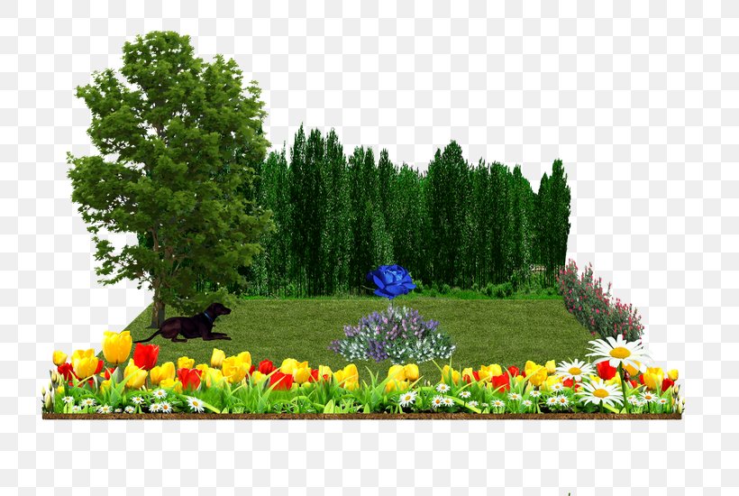 Garden Landscaping, PNG, 800x550px, Garden, Biome, Fence, Flora, Flower Download Free
