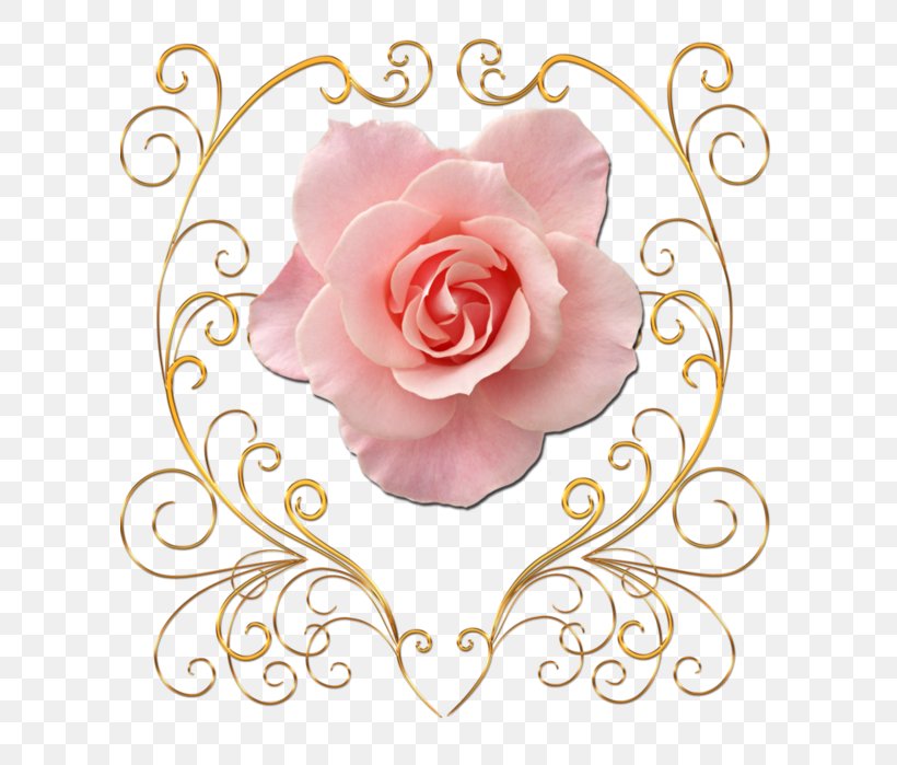 Garden Roses Flower Petal Clip Art, PNG, 599x699px, Watercolor, Cartoon, Flower, Frame, Heart Download Free