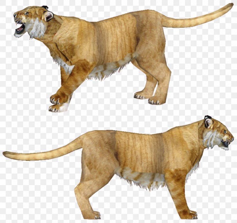 Lion Cat Wildlife Terrestrial Animal Fauna, PNG, 850x800px, Lion, Animal, Big Cat, Big Cats, Carnivoran Download Free
