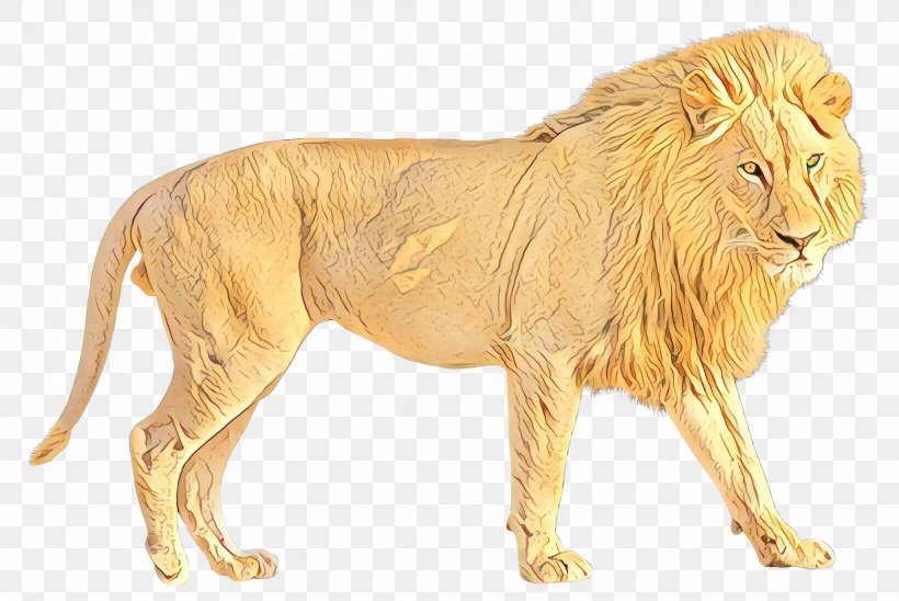 Lion Transparency Image Jaguar, PNG, 1849x1237px, Lion, Animal, Animal Figure, Big Cats, Carnivore Download Free