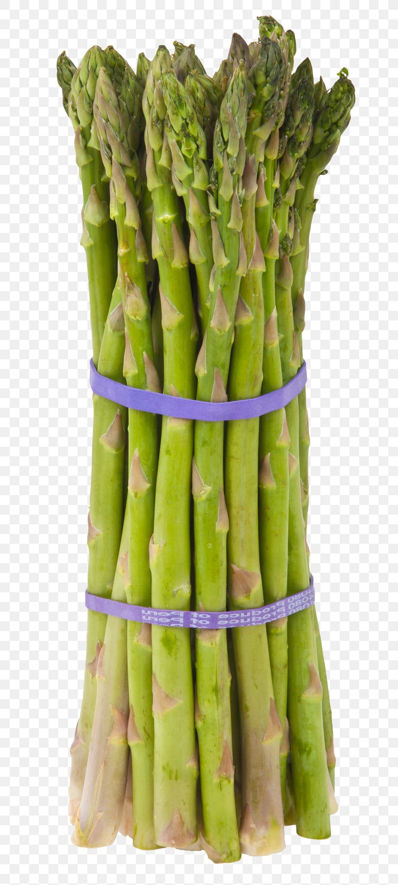 Cream Of Asparagus Soup Vegetable Cooking Eating, PNG, 718x1823px, Asparagus, Commodity, Cooking, Cream Of Asparagus Soup, Dish Download Free