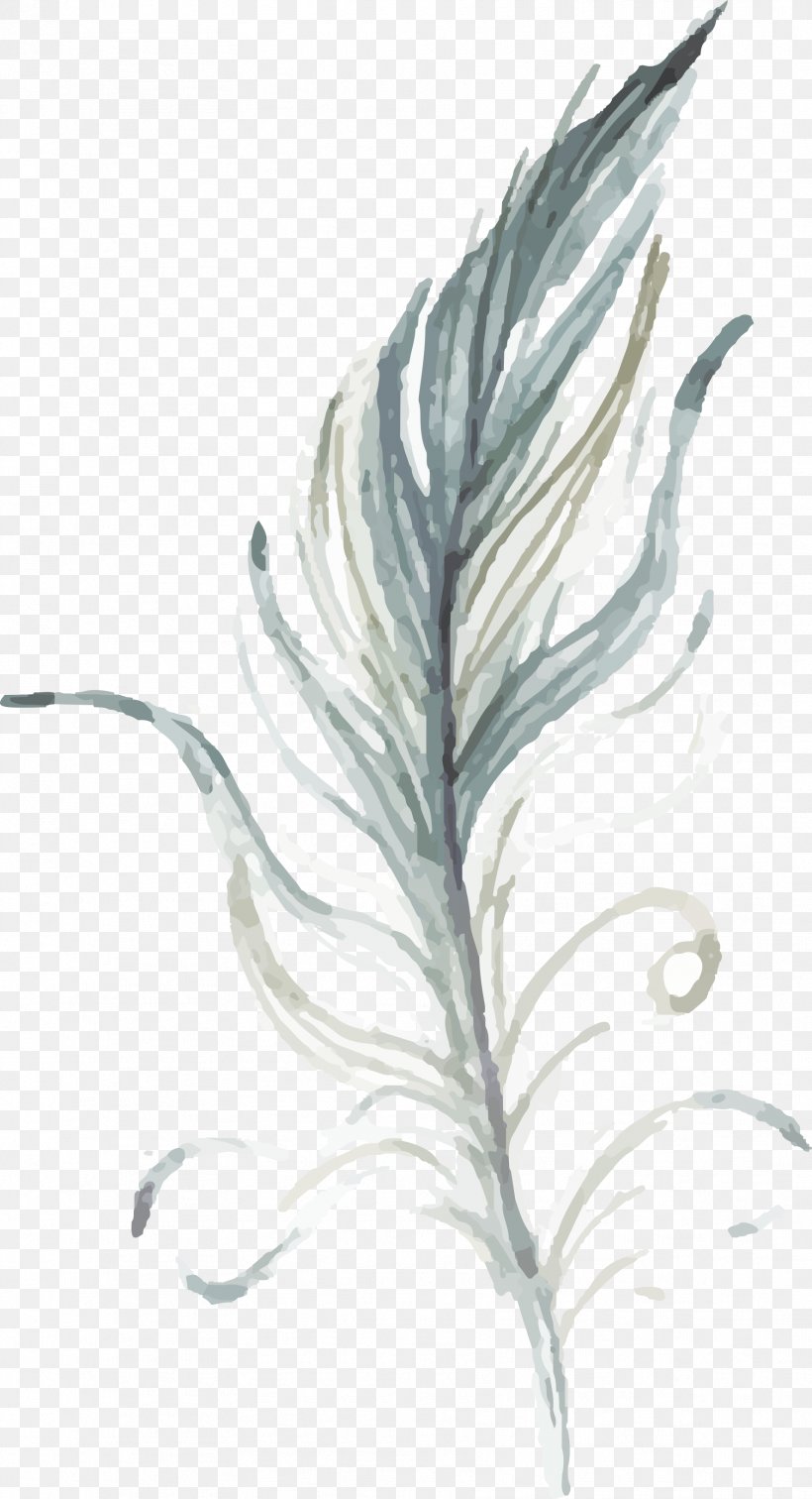 Drawing Feather, PNG, 1774x3272px, Drawing, Art, Bird, Feather, Idea Download Free