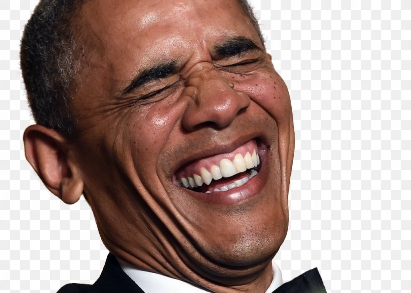 Laughter Why Do We Laugh? Humour Joke White House, PNG, 1024x732px, Laughter, Cheek, Chin, Comedy, Ear Download Free
