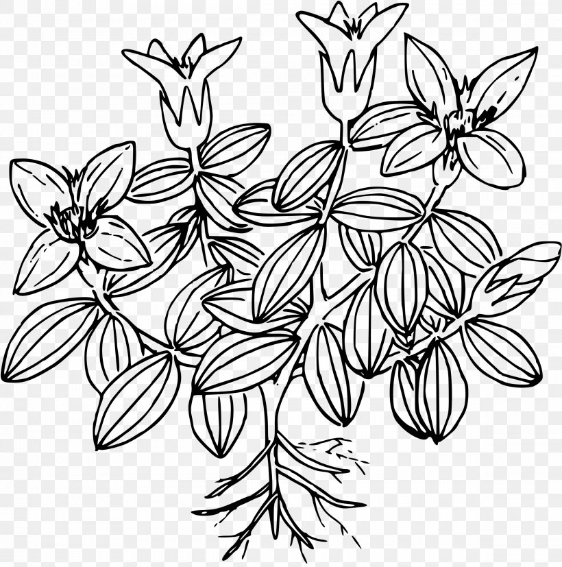 Moss Drawing Flower, PNG, 2378x2400px, Moss, Art, Artwork, Black And White, Blanket Flowers Download Free