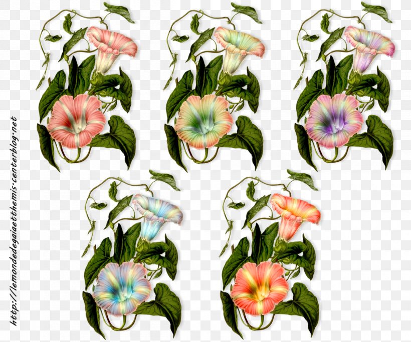 Floral Design Hedge Bindweed Cut Flowers Flowering Plant, PNG, 1200x1000px, Floral Design, Cut Flowers, Flora, Floristry, Flower Download Free