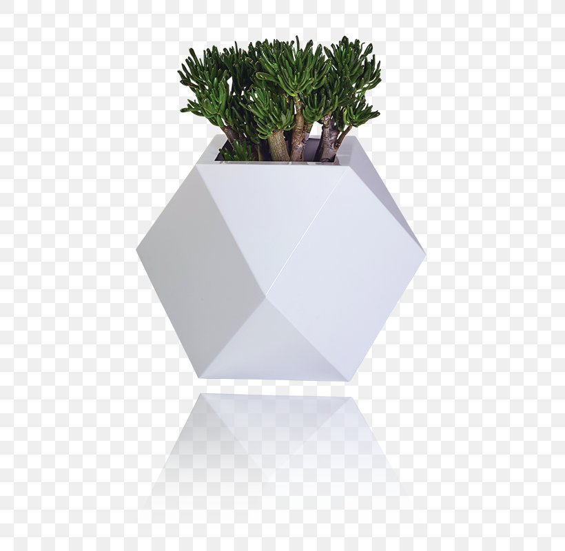 Flowerpot Designer Project Industrial Design, PNG, 513x800px, Flowerpot, Czech Republic, Czechs, Designer, Experience Download Free