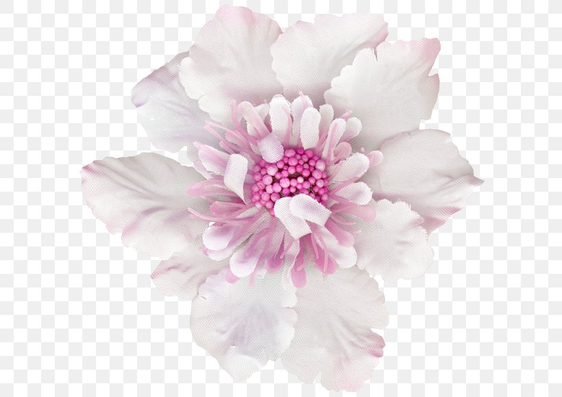 Peony Cut Flowers Pink M Herbaceous Plant Petal, PNG, 600x580px, Peony, Blossom, Cut Flowers, Flower, Flowering Plant Download Free