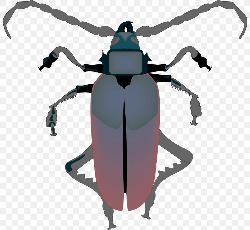 Cockroach Download Clip Art, PNG, 800x753px, Cockroach, Arthropod, Beetle, Cricket, Drawing Download Free