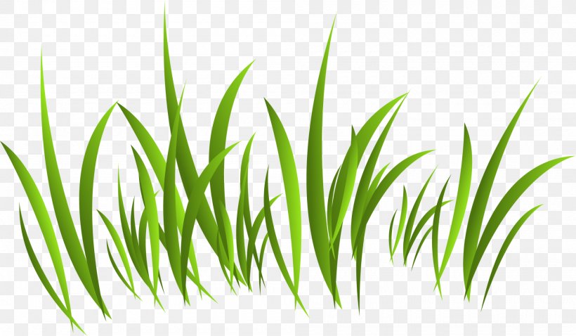 Europe Green, PNG, 2000x1167px, Europe, Commodity, Designer, Grass, Grass Family Download Free