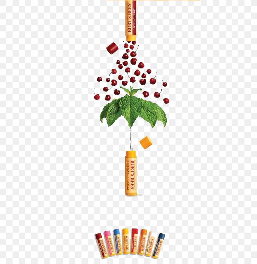 Lip Balm United States Burts Bees, Inc. Advertising, PNG, 454x840px, Lip Balm, Advertising, Advertising Agency, Advertising Campaign, Art Director Download Free