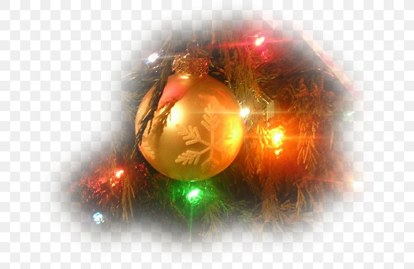 Christmas Ornament Sadness Burgthann SHUTTLE, PNG, 683x533px, Christmas, Birth, Blingee, Blog, Christmas Decoration Download Free