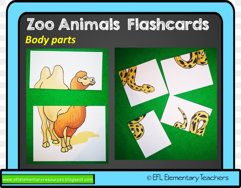 Flashcard English As A Second Or Foreign Language Animal Teacher Game, PNG, 1417x1106px, Flashcard, Animal, Area, Art, Cartoon Download Free