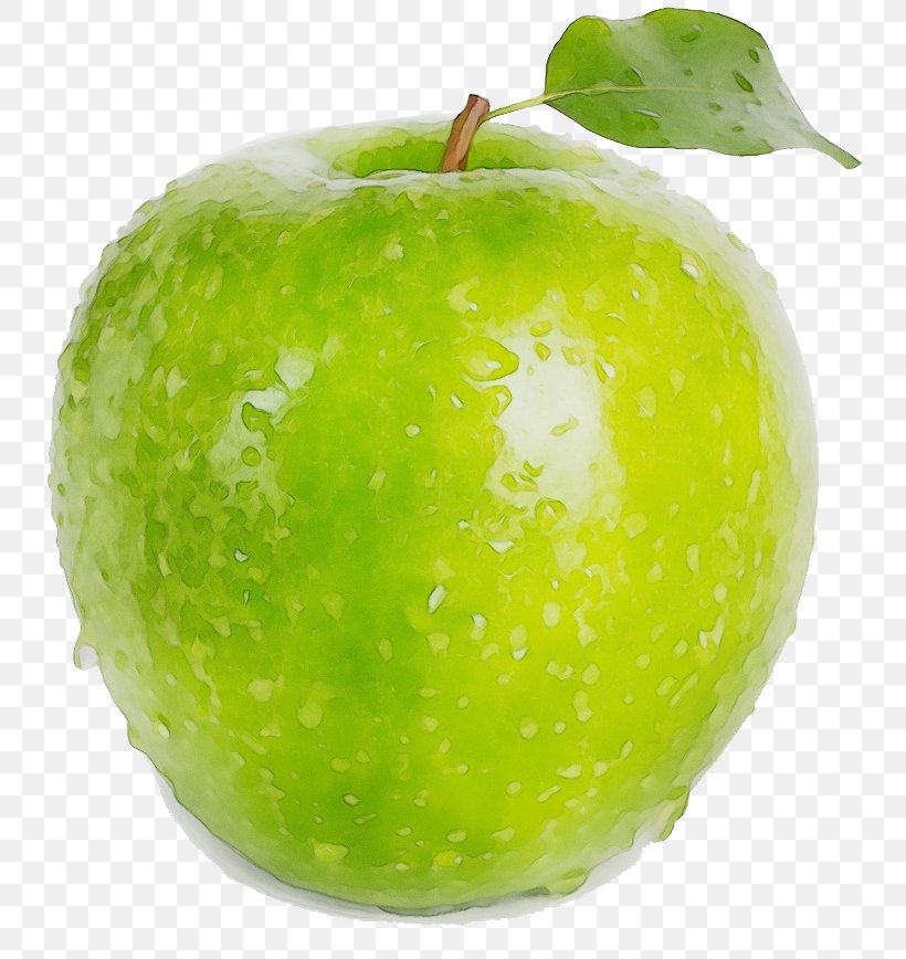 Granny Smith Fruit Apple Green Food, PNG, 778x868px, Watercolor, Accessory Fruit, Apple, Food, Fruit Download Free