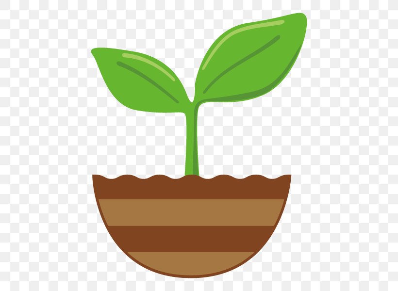 Illustration Leaf Plants Clip Art Image, PNG, 600x600px, Leaf, Bud, Cartoon, Food, Grass Download Free