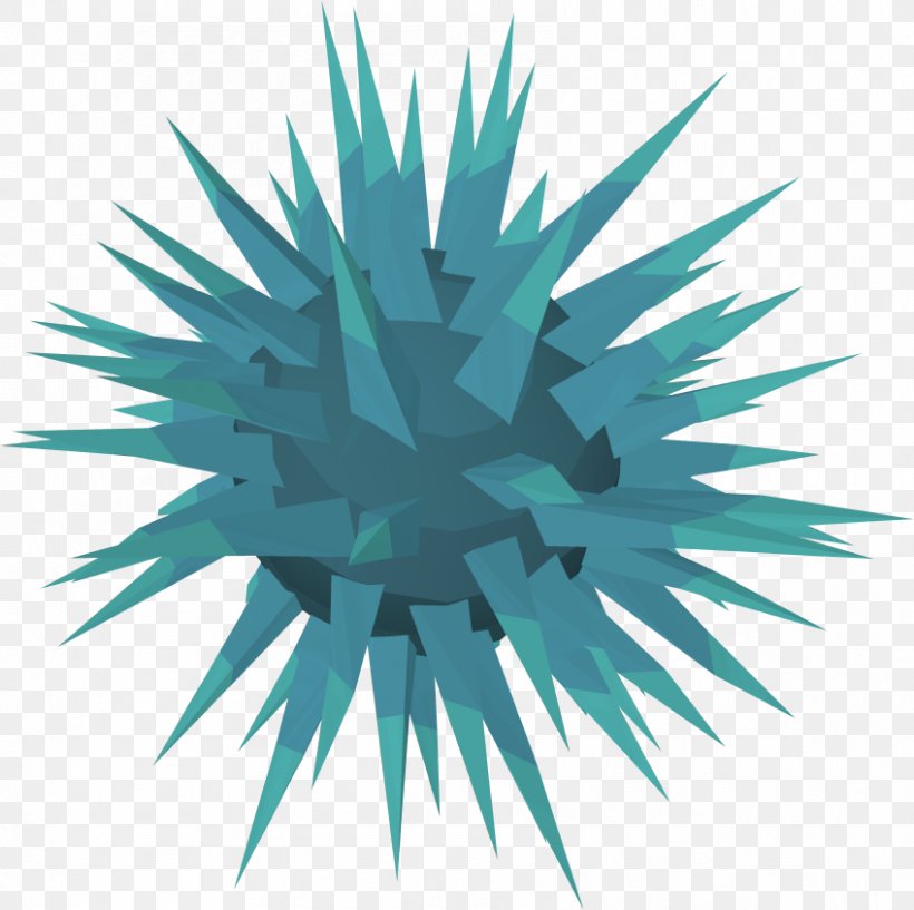 Sea Urchin Crystal Seafood RuneScape, PNG, 848x845px, Sea Urchin, Agave, Blue, Crystal, Electric Blue Download Free
