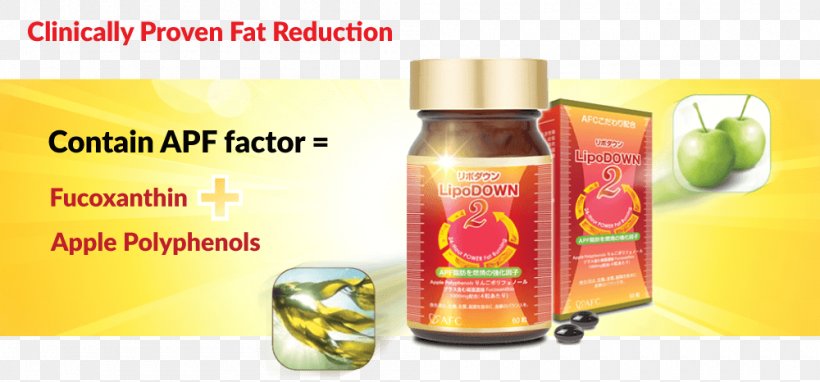 B Vitamins Health Anti-obesity Medication Cordyceps, PNG, 1000x466px, Vitamin, Antiobesity Medication, B Vitamins, Cordyceps, Flavor Download Free