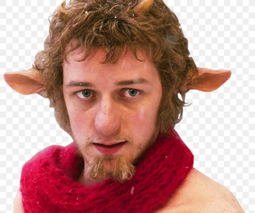 James McAvoy Mr. Tumnus The Chronicles Of Narnia: The Lion, The Witch And The Wardrobe, PNG, 972x816px, James Mcavoy, Beard, Character, Chin, Chronicles Of Narnia Download Free