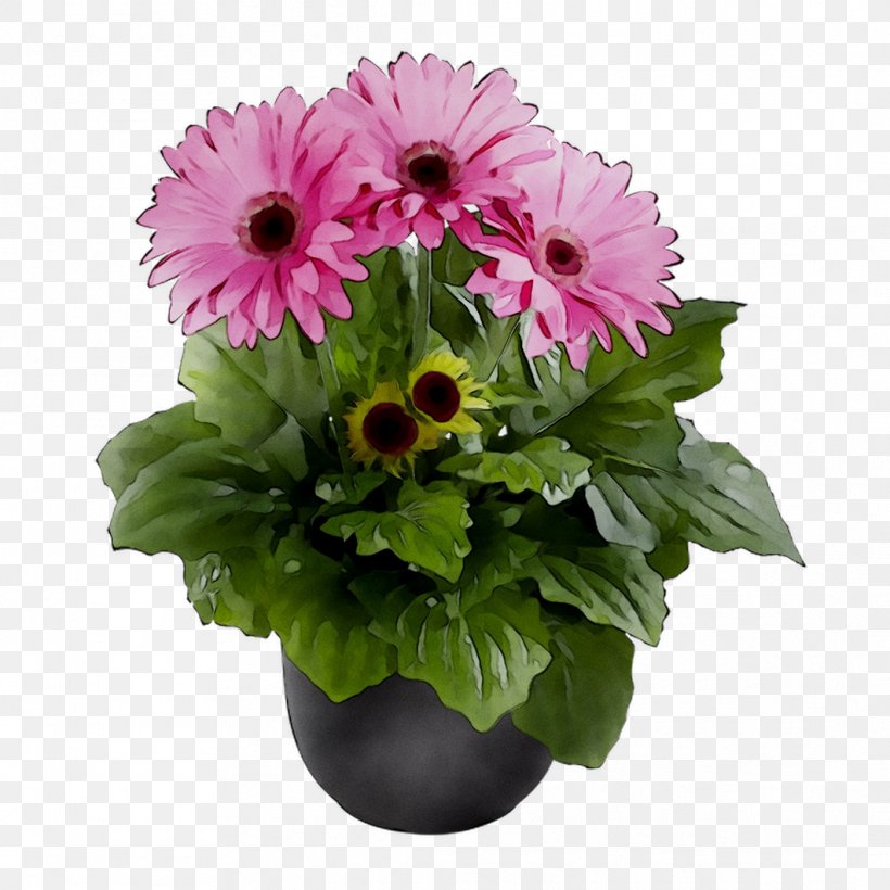Transvaal Daisy Floral Design Cut Flowers Chrysanthemum, PNG, 1062x1062px, Transvaal Daisy, African Daisy, Annual Plant, Artificial Flower, Aster Download Free