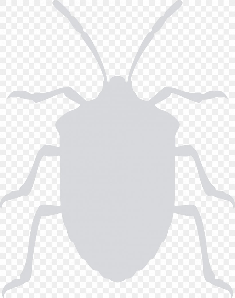 Brown Marmorated Stink Bug Bed Bug Clip Art, PNG, 1898x2400px, Brown Marmorated Stink Bug, Antler, Arthropod, Bed Bug, Black And White Download Free