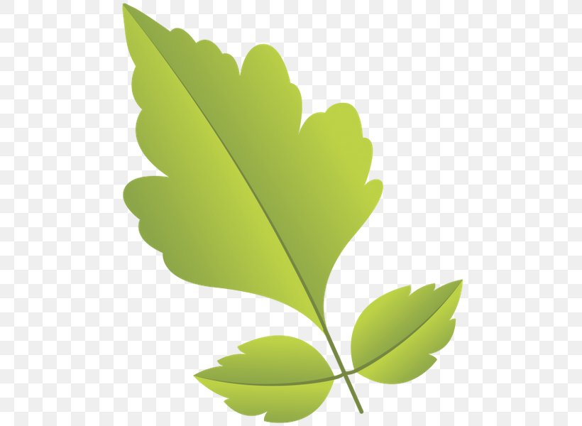 Primavera Green Leaf, PNG, 504x600px, Primavera, Green, Leaf, Painting, Photography Download Free