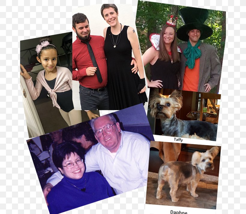 War And Other Things Family Collage Dog Breed Hairdresser, PNG, 686x715px, Family, Breed, Brown, Collage, Color Download Free