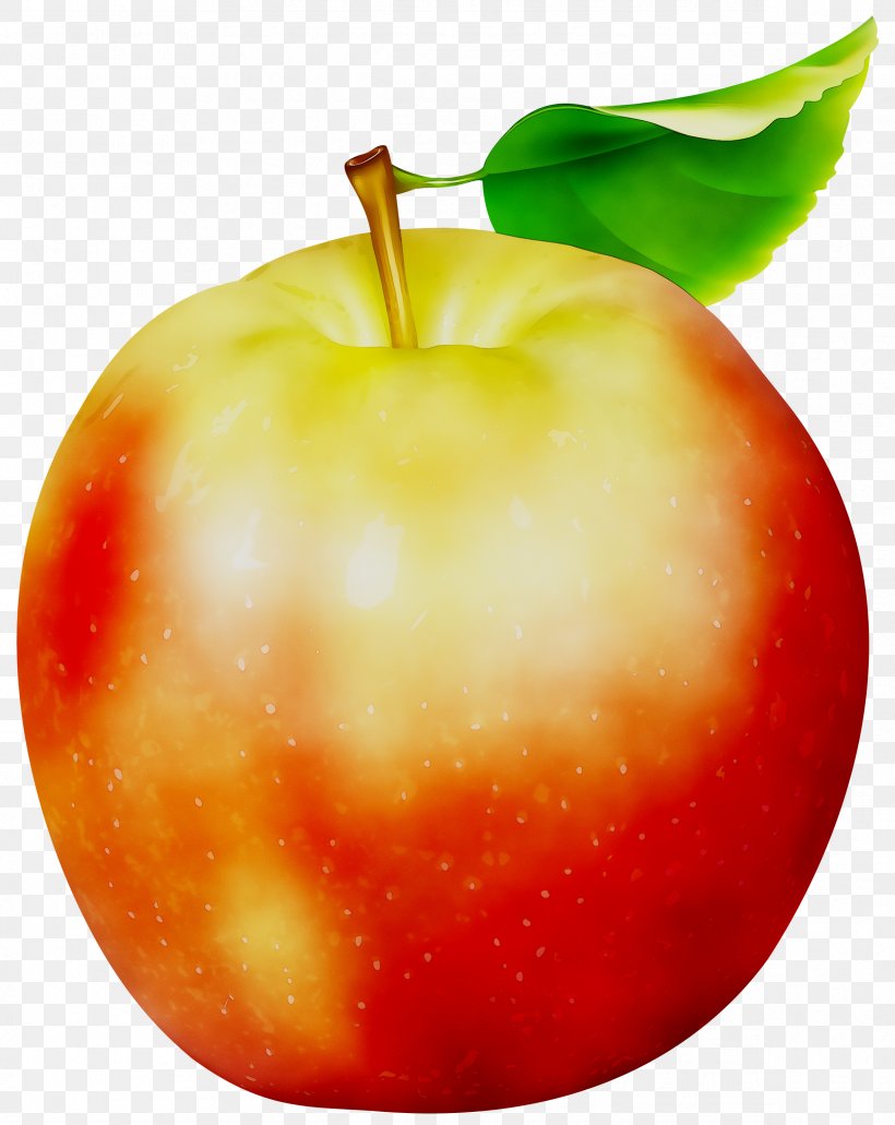 Clip Art Apple Transparency Image, PNG, 2385x3000px, Apple, Accessory Fruit, Apples And Oranges, Drupe, Flowering Plant Download Free