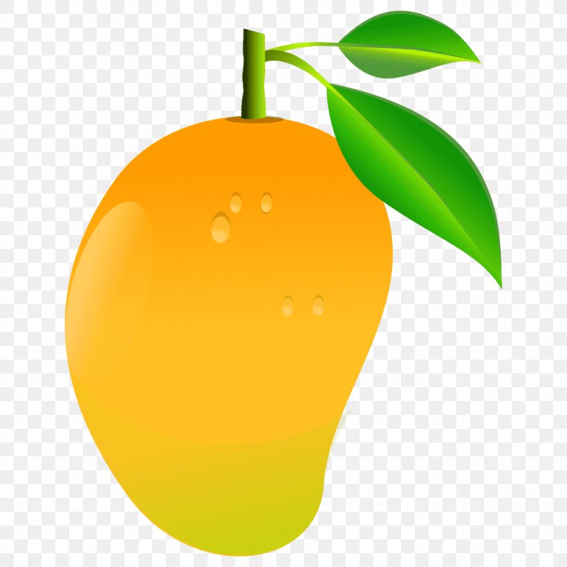 Clip Art Vector Graphics Mango Openclipart, PNG, 1024x1024px, Mango, Citrus, Food, Fruit, Leaf Download Free