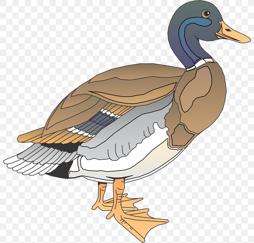 Daisy Duck Bird Wood Duck Clip Art, PNG, 800x783px, Duck, Aix, Art, Beak, Bird Download Free