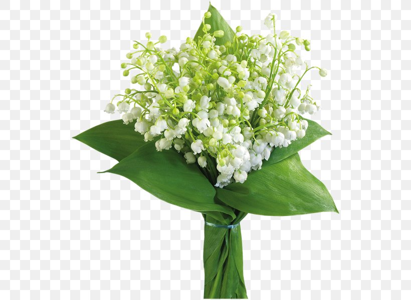 Flower Bouquet Lily Of The Valley Clip Art, PNG, 600x600px, Flower Bouquet, Cornales, Cut Flowers, Floral Design, Flower Download Free