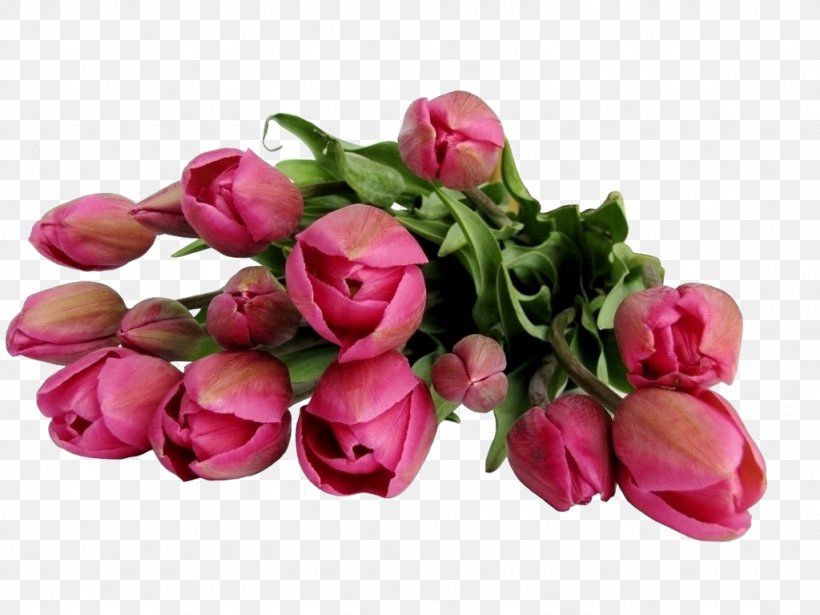 Flower Bouquet Stock.xchng Clip Art, PNG, 1024x768px, Flower Bouquet, Artificial Flower, Birth Flower, Cut Flowers, Floral Design Download Free