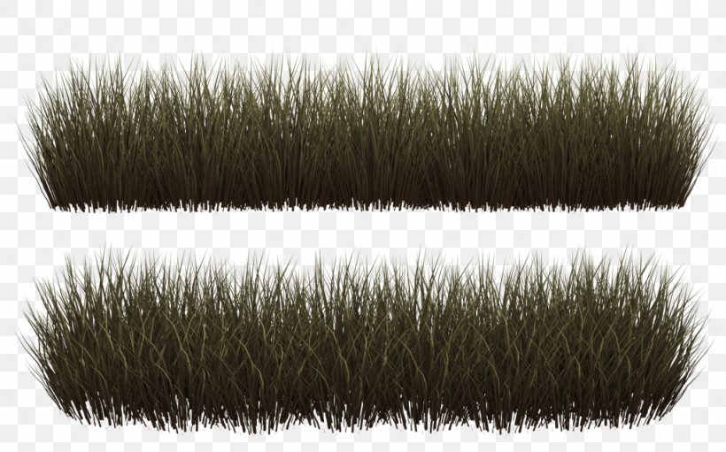 Rendering Lawn Clip Art, PNG, 1024x639px, Rendering, Brush, Eyelash, Fur, Grass Download Free