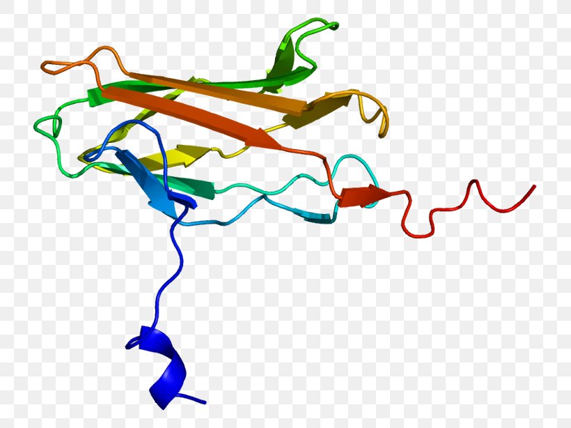 RUNX2 Core Binding Factor Transcription Factor Gene RUNX3, PNG, 773x614px, Core Binding Factor, Area, Artwork, Cellular Differentiation, Dna Download Free