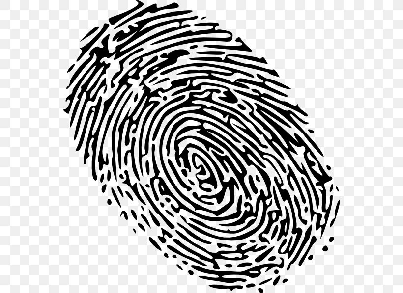 Fingerprint Clip Art, PNG, 564x597px, Fingerprint, Bbcode, Black And White, Drawing, Finger Download Free