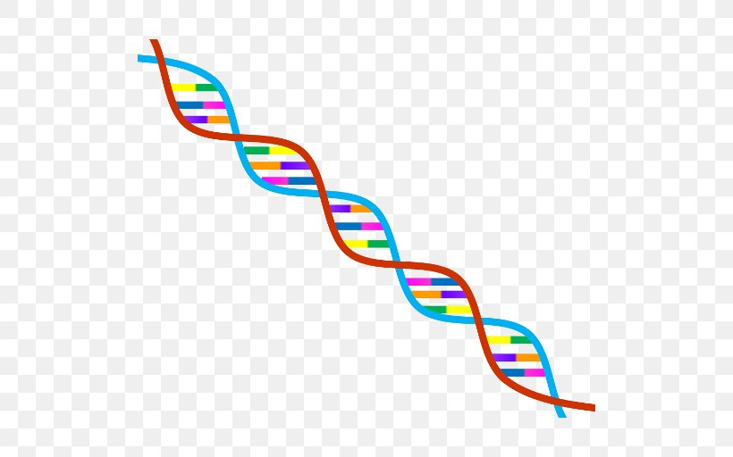 Genealogical DNA Test Genetics DNA Profiling Genetic Testing, PNG, 512x512px, Dna, Area, Biology, Cloning, Dna Paternity Testing Download Free