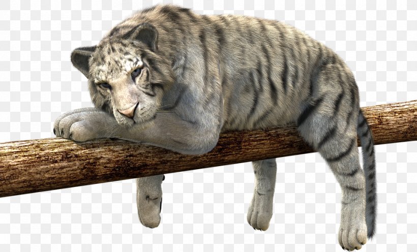 Golden Tiger Cat White Tiger Felidae, PNG, 960x581px, Tiger, Animal Figure, Big Cat, Big Cats, Black Tiger Download Free